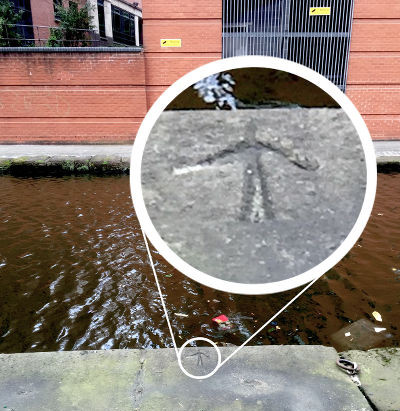 River Tib Canal Drain | Hidden Manchester Map